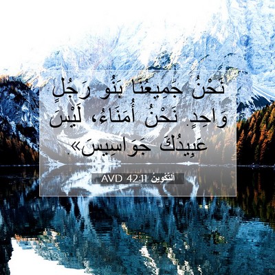 Picture 07 - اَلتَّكْوِينُ 42:11 AVD - نَحْنُ جَمِيعُنَا بَنُو - Bible Verse Picture