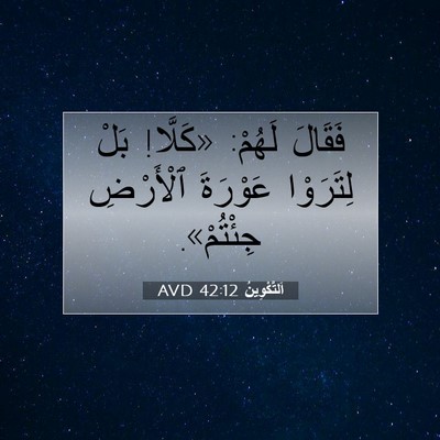 Picture 07 - اَلتَّكْوِينُ 42:12 AVD - فَقَالَ لَهُمْ: «كَلَّا! - Bible Verse Picture