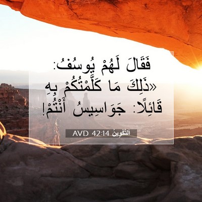 Picture 07 - اَلتَّكْوِينُ 42:14 AVD - فَقَالَ لَهُمْ يُوسُفُ: - Bible Verse Picture
