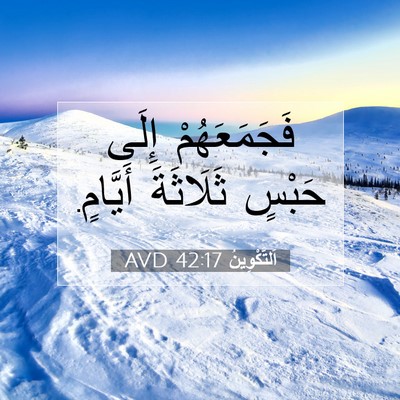 Picture 07 - اَلتَّكْوِينُ 42:17 AVD - فَجَمَعَهُمْ إِلَى حَبْسٍ - Bible Verse Picture