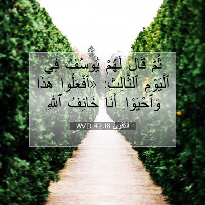 Picture 07 - اَلتَّكْوِينُ 42:18 AVD - ثُمَّ قَالَ لَهُمْ يُوسُفُ - Bible Verse Picture