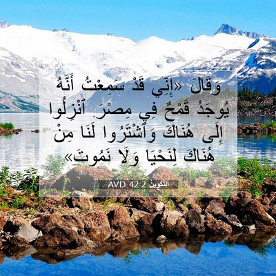 Picture 07 - اَلتَّكْوِينُ 42:2 AVD - وَقَالَ «إِنِّي قَدْ - Bible Verse Picture