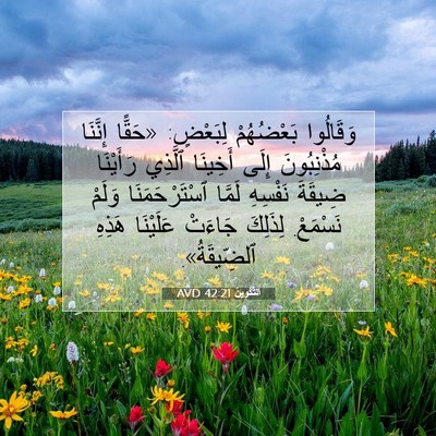 Picture 07 - اَلتَّكْوِينُ 42:21 AVD - وَقَالُوا بَعْضُهُمْ - Bible Verse Picture