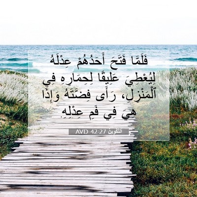 Picture 07 - اَلتَّكْوِينُ 42:27 AVD - فَلَمَّا فَتَحَ - Bible Verse Picture