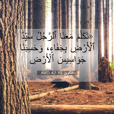 Picture 07 - اَلتَّكْوِينُ 42:30 AVD - «تَكَلَّمَ مَعَنَا - Bible Verse Picture