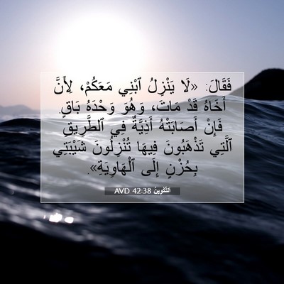 Picture 07 - اَلتَّكْوِينُ 42:38 AVD - فَقَالَ: «لَا يَنْزِلُ - Bible Verse Picture
