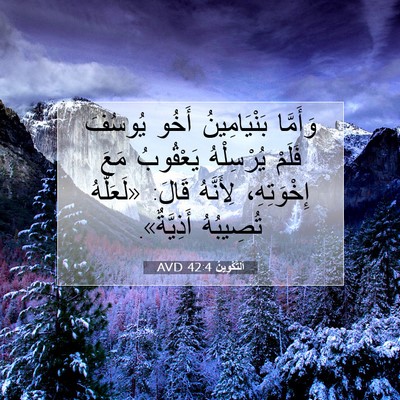 Picture 07 - اَلتَّكْوِينُ 42:4 AVD - وَأَمَّا بَنْيَامِينُ - Bible Verse Picture