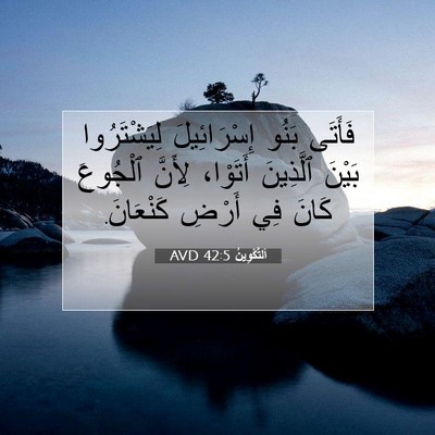 Picture 07 - اَلتَّكْوِينُ 42:5 AVD - فَأَتَى بَنُو - Bible Verse Picture