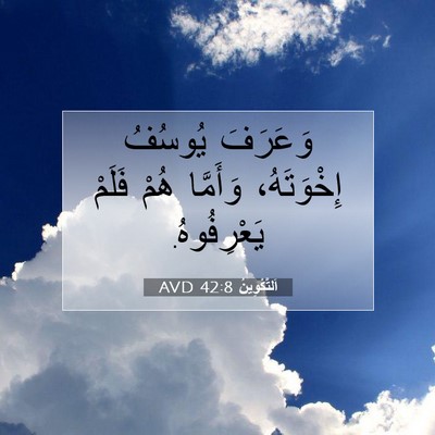 Picture 07 - اَلتَّكْوِينُ 42:8 AVD - وَعَرَفَ يُوسُفُ - Bible Verse Picture