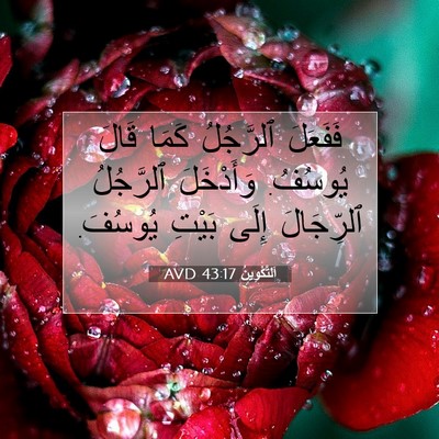 Picture 07 - اَلتَّكْوِينُ 43:17 AVD - فَفَعَلَ ٱلرَّجُلُ كَمَا - Bible Verse Picture