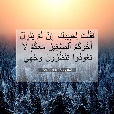 Picture 07 - اَلتَّكْوِينُ 44:23 AVD - فَقُلْتَ لِعَبِيدِكَ: إِنْ - Bible Verse Picture