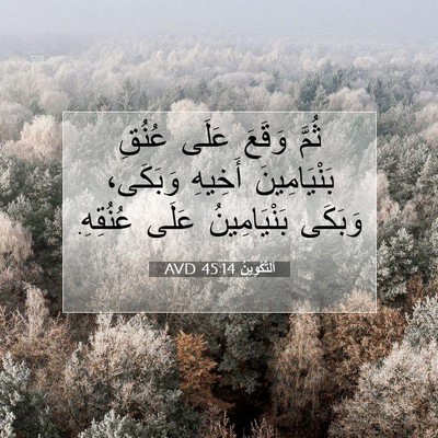 Picture 07 - اَلتَّكْوِينُ 45:14 AVD - ثُمَّ وَقَعَ عَلَى عُنُقِ - Bible Verse Picture