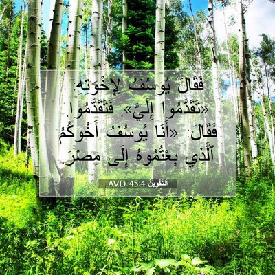 Picture 07 - اَلتَّكْوِينُ 45:4 AVD - فَقَالَ يُوسُفُ - Bible Verse Picture