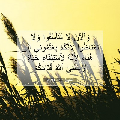 Picture 07 - اَلتَّكْوِينُ 45:5 AVD - وَٱلْآنَ لَا - Bible Verse Picture