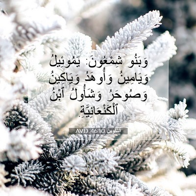 Picture 07 - اَلتَّكْوِينُ 46:10 AVD - وَبَنُو شِمْعُونَ: - Bible Verse Picture