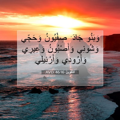 Picture 07 - اَلتَّكْوِينُ 46:16 AVD - وَبَنُو جَادَ: صِفْيُونُ - Bible Verse Picture