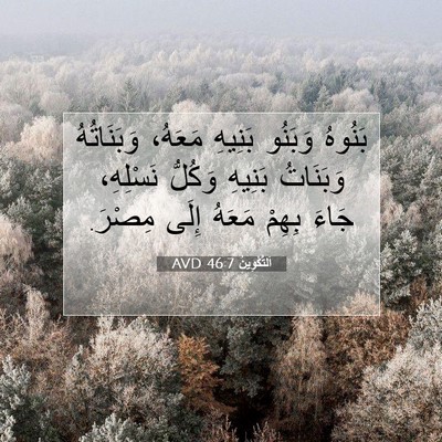 Picture 07 - اَلتَّكْوِينُ 46:7 AVD - بَنُوهُ وَبَنُو بَنِيهِ - Bible Verse Picture