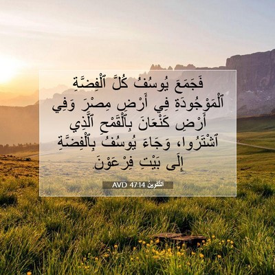 Picture 07 - اَلتَّكْوِينُ 47:14 AVD - فَجَمَعَ يُوسُفُ كُلَّ - Bible Verse Picture
