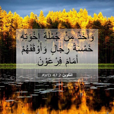 Picture 07 - اَلتَّكْوِينُ 47:2 AVD - وَأَخَذَ مِنْ جُمْلَةِ - Bible Verse Picture