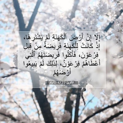 Picture 07 - اَلتَّكْوِينُ 47:22 AVD - إِلَا إِنَّ أَرْضَ - Bible Verse Picture