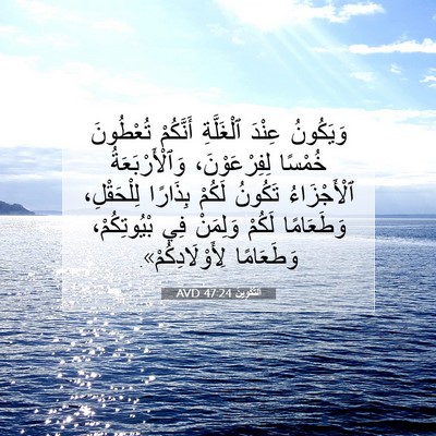 Picture 07 - اَلتَّكْوِينُ 47:24 AVD - وَيَكُونُ عِنْدَ - Bible Verse Picture