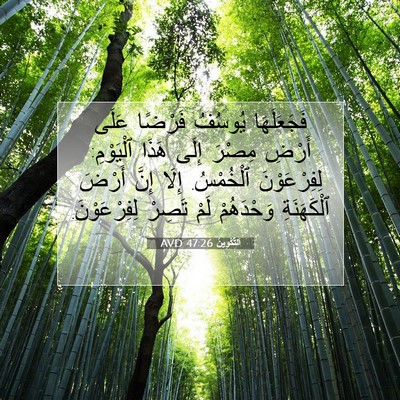 Picture 07 - اَلتَّكْوِينُ 47:26 AVD - فَجَعَلَهَا يُوسُفُ - Bible Verse Picture
