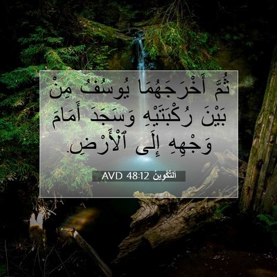Picture 07 - اَلتَّكْوِينُ 48:12 AVD - ثُمَّ أَخْرَجَهُمَا - Bible Verse Picture