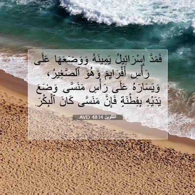 Picture 07 - اَلتَّكْوِينُ 48:14 AVD - فَمَدَّ إِسْرَائِيلُ - Bible Verse Picture