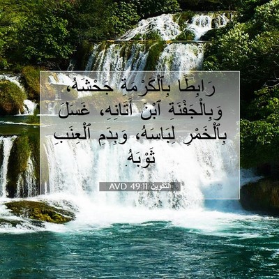 Picture 07 - اَلتَّكْوِينُ 49:11 AVD - رَابِطًا بِٱلْكَرْمَةِ - Bible Verse Picture