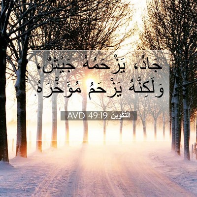 Picture 07 - اَلتَّكْوِينُ 49:19 AVD - جَادُ، يَزْحَمُهُ جَيْشٌ، - Bible Verse Picture