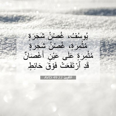 Picture 07 - اَلتَّكْوِينُ 49:22 AVD - يُوسُفُ، غُصْنُ شَجَرَةٍ - Bible Verse Picture