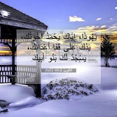 Picture 07 - اَلتَّكْوِينُ 49:8 AVD - يَهُوذَا، إِيَّاكَ - Bible Verse Picture