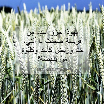 Picture 07 - اَلتَّكْوِينُ 49:9 AVD - يَهُوذَا جَرْوُ أَسَدٍ، - Bible Verse Picture