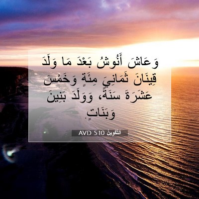 Picture 07 - اَلتَّكْوِينُ 5:10 AVD - وَعَاشَ أَنُوشُ بَعْدَ مَا - Bible Verse Picture