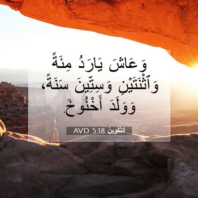 Picture 07 - اَلتَّكْوِينُ 5:18 AVD - وَعَاشَ يَارَدُ مِئَةً - Bible Verse Picture