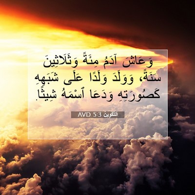 Picture 07 - اَلتَّكْوِينُ 5:3 AVD - وَعَاشَ آدَمُ مِئَةً - Bible Verse Picture