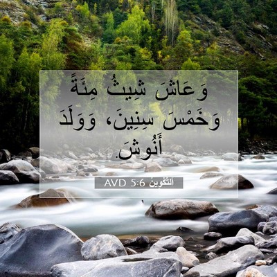 Picture 07 - اَلتَّكْوِينُ 5:6 AVD - وَعَاشَ شِيثُ مِئَةً - Bible Verse Picture