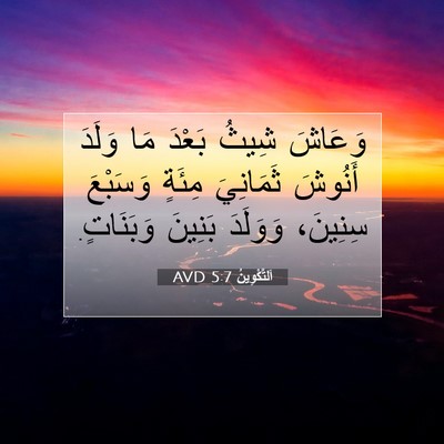 Picture 07 - اَلتَّكْوِينُ 5:7 AVD - وَعَاشَ شِيثُ بَعْدَ مَا - Bible Verse Picture