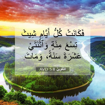 Picture 07 - اَلتَّكْوِينُ 5:8 AVD - فَكَانَتْ كُلُّ أَيَّامِ - Bible Verse Picture
