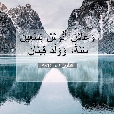 Picture 07 - اَلتَّكْوِينُ 5:9 AVD - وَعَاشَ أَنُوشُ تِسْعِينَ - Bible Verse Picture
