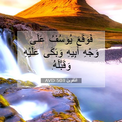 Picture 07 - اَلتَّكْوِينُ 50:1 AVD - فَوَقَعَ يُوسُفُ عَلَى - Bible Verse Picture