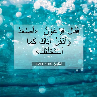 Picture 07 - اَلتَّكْوِينُ 50:6 AVD - فَقَالَ فِرْعَوْنُ: - Bible Verse Picture