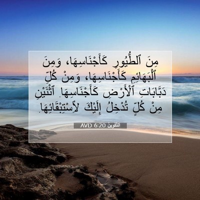 Picture 07 - اَلتَّكْوِينُ 6:20 AVD - مِنَ ٱلطُّيُورِ - Bible Verse Picture