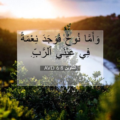 Picture 07 - اَلتَّكْوِينُ 6:8 AVD - وَأَمَّا نُوحٌ فَوَجَدَ - Bible Verse Picture