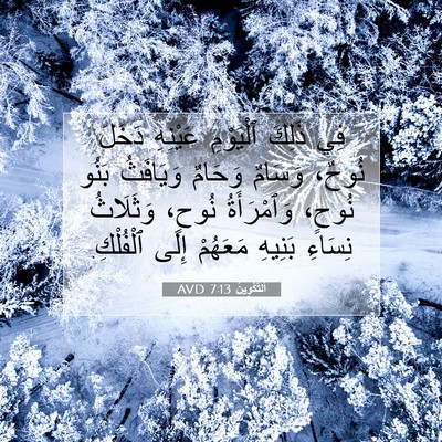 Picture 07 - اَلتَّكْوِينُ 7:13 AVD - فِي ذَلِكَ ٱلْيَوْمِ - Bible Verse Picture
