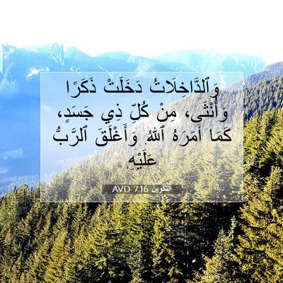 Picture 07 - اَلتَّكْوِينُ 7:16 AVD - وَٱلدَّاخِلَاتُ دَخَلَتْ - Bible Verse Picture