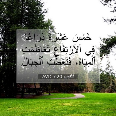 Picture 07 - اَلتَّكْوِينُ 7:20 AVD - خَمْسَ عَشَرَةَ ذِرَاعًا - Bible Verse Picture