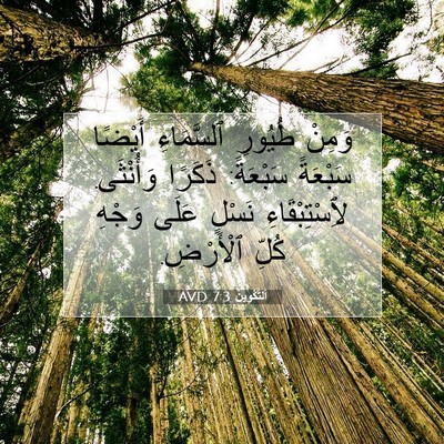 Picture 07 - اَلتَّكْوِينُ 7:3 AVD - وَمِنْ طُيُورِ ٱلسَّمَاءِ - Bible Verse Picture