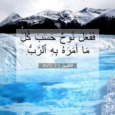 Picture 07 - اَلتَّكْوِينُ 7:5 AVD - فَفَعَلَ نُوحٌ حَسَبَ - Bible Verse Picture