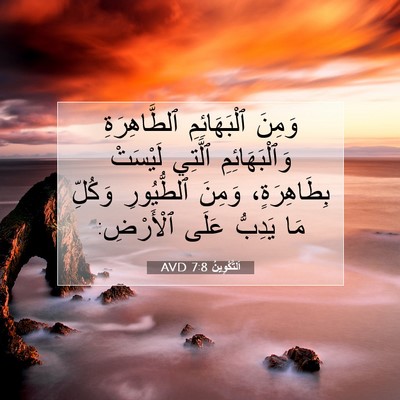 Picture 07 - اَلتَّكْوِينُ 7:8 AVD - وَمِنَ ٱلْبَهَائِمِ - Bible Verse Picture